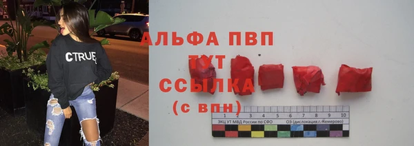ПСИЛОЦИБИНОВЫЕ ГРИБЫ Белокуриха