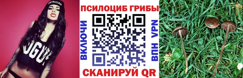 цена наркотик Полесск Галлюциногенные грибы Psilocybine cubensis